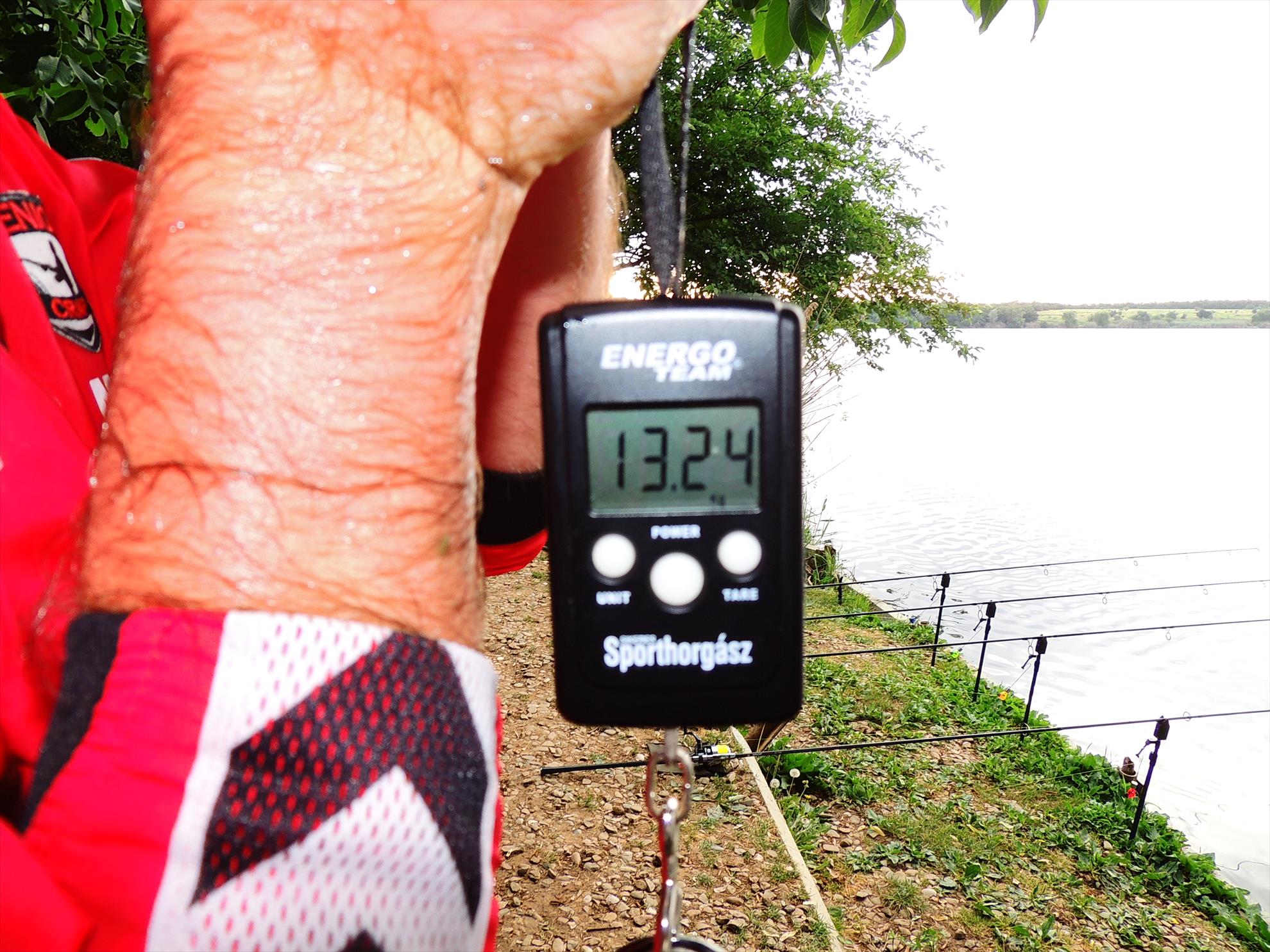 Tancabesti 14 - 16 iunie 2015 - dscn6814.JPG